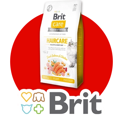 Alimento Brit para gatos