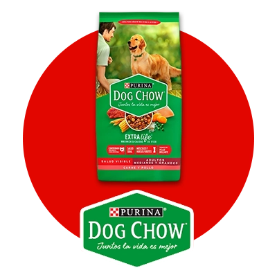 Alimento Dog Chow para perros
