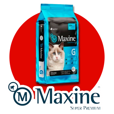 Maxine gatos