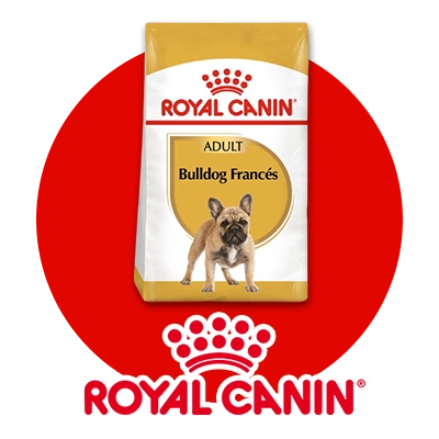 Alimento Royal Canin para perros