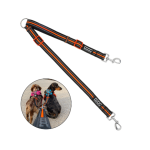 Doog Correa Doble de Paseo - Beethoven