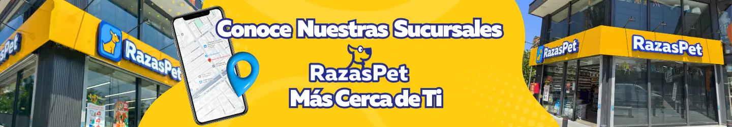 Conoce la ubicación de las sucursales de RazasPet